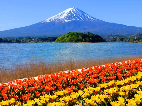Saiko Iyashi-no-Sato Nenba Traditionsdorf auf einer günstigen Mount Fuji Tour