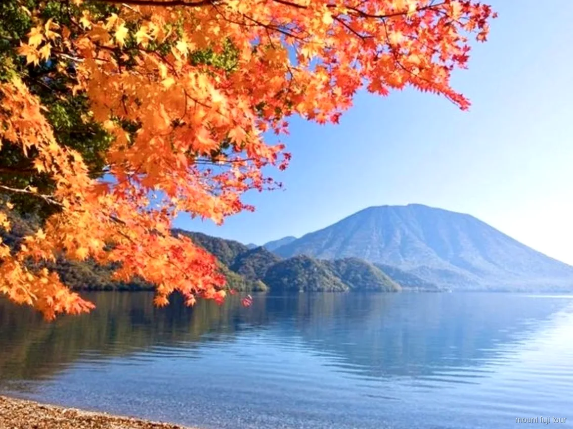 Aokigahara Wald, gewachsen über den alten Lavaströmen des Mount Fuji