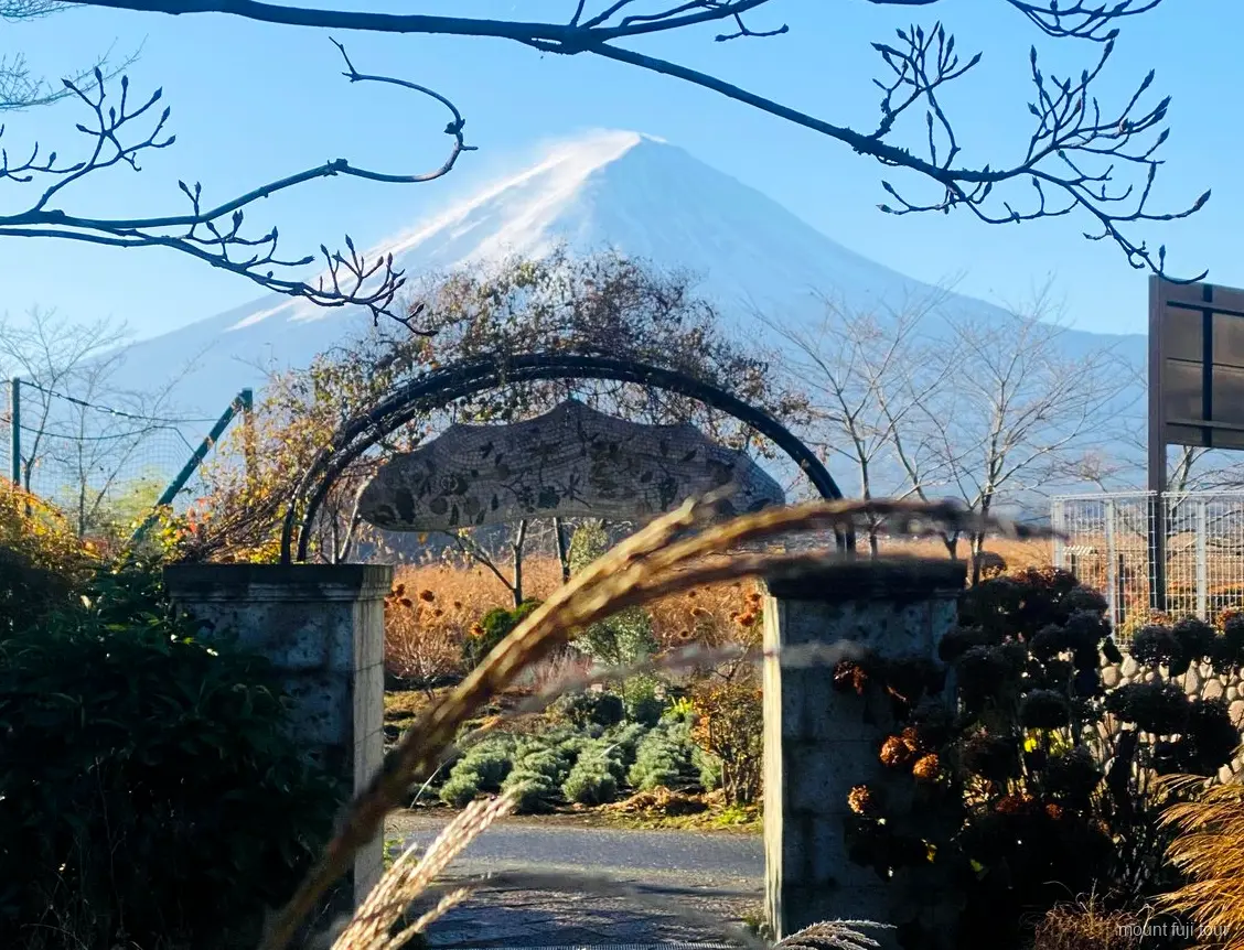 Privates Fahrzeug für eine Mount Fuji Tagestour ab Tokio