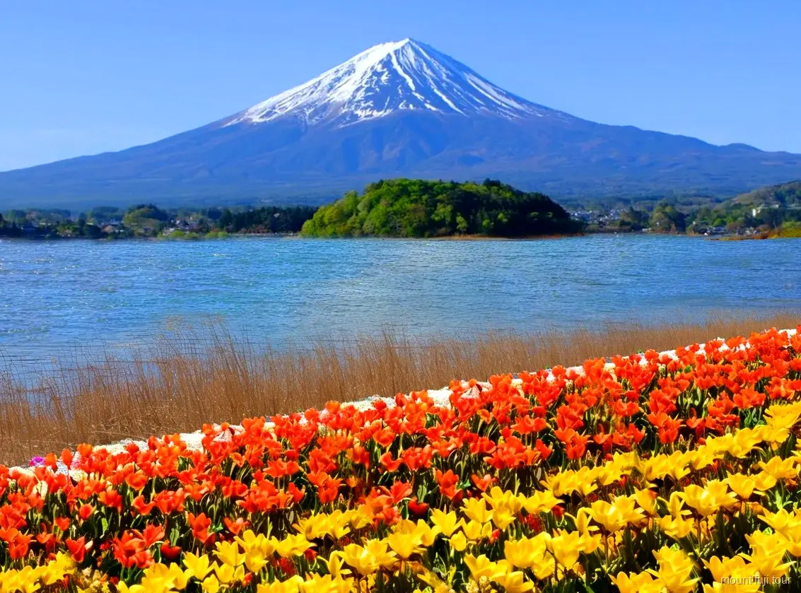 Pueblo tradicional de Saiko Iyashi-no-Sato Nenba en un tour económico al Monte Fuji