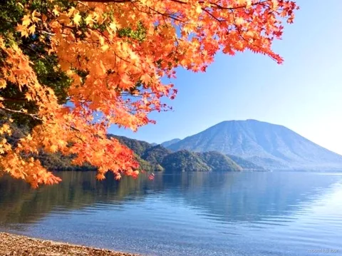 Foresta di Aokigahara cresciuta sulle antiche colate laviche del Monte Fuji