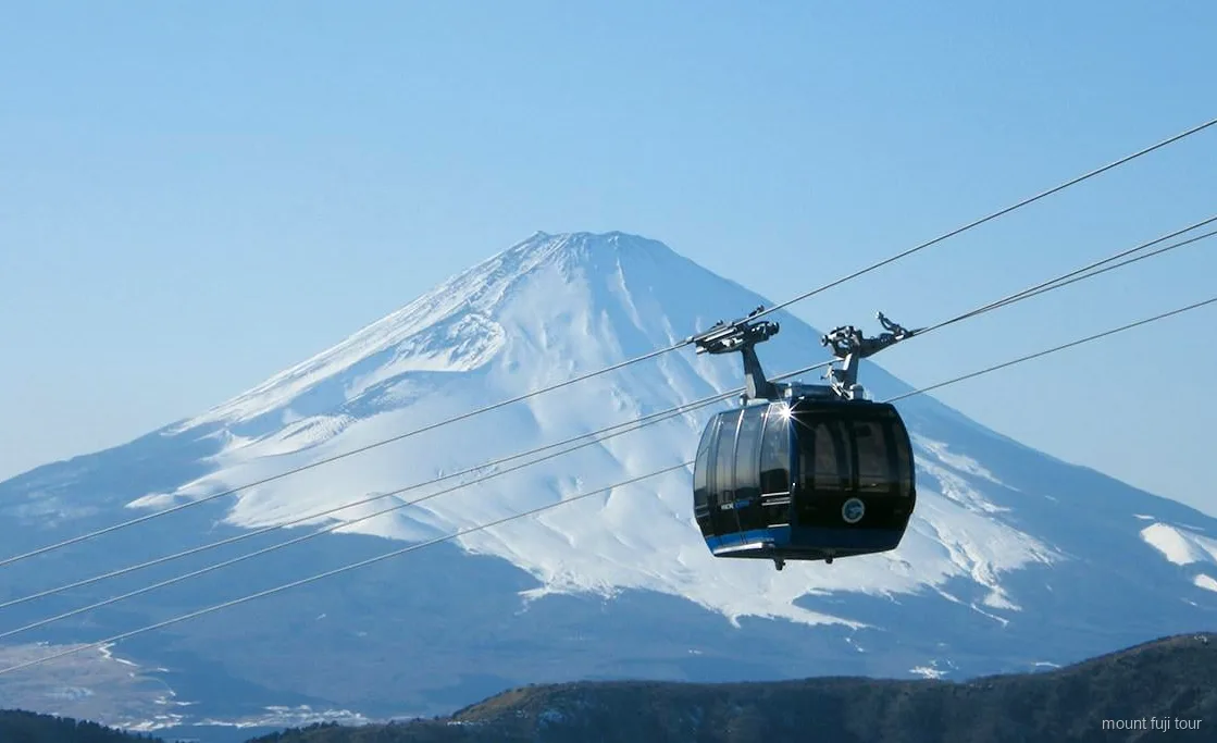 Treno Shinkansen usato per il tratto di ritorno da Hakone