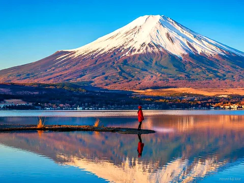 Pagoda Chureito enmarcada contra el Monte Fuji en un tour privado de un día